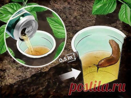 (7) Одноклассники