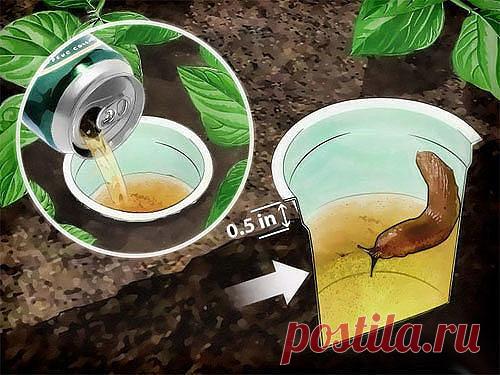 (7) Одноклассники