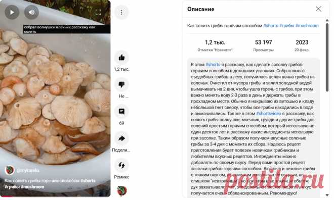 Скриншот-13-08-2025 20:56:37.jpg