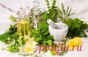 У доктора Влада