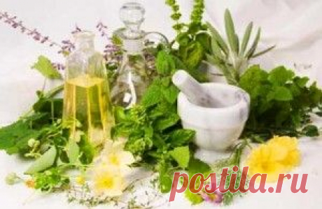 У доктора Влада