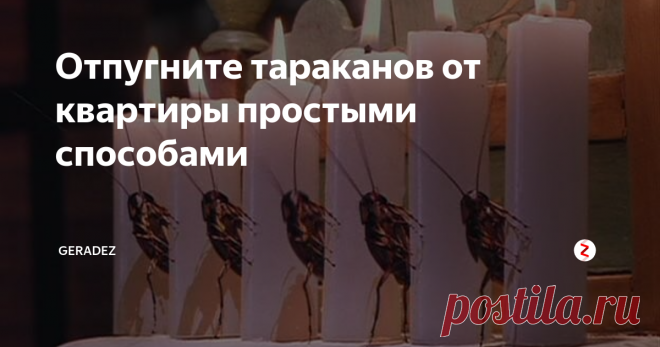 Отпугните тараканов от квартиры простыми способами Тараканы - это насекомые, являющиеся потомками динозавров. Они хорошо известны своей способностью адаптироваться к изменениям в окружающей среде. В мире насчитывается более 3500 видов тараканов. Но можно ли с ними бороться без помощи химических веществ? Существуют ли эффективные, народные методы?

