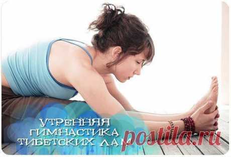 Айболит