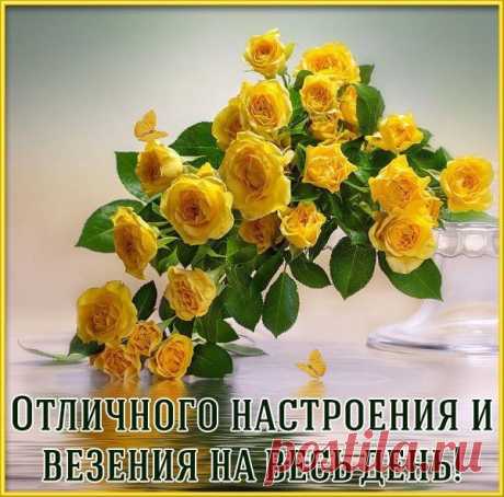 (1) Мой Мир@Mail.Ru