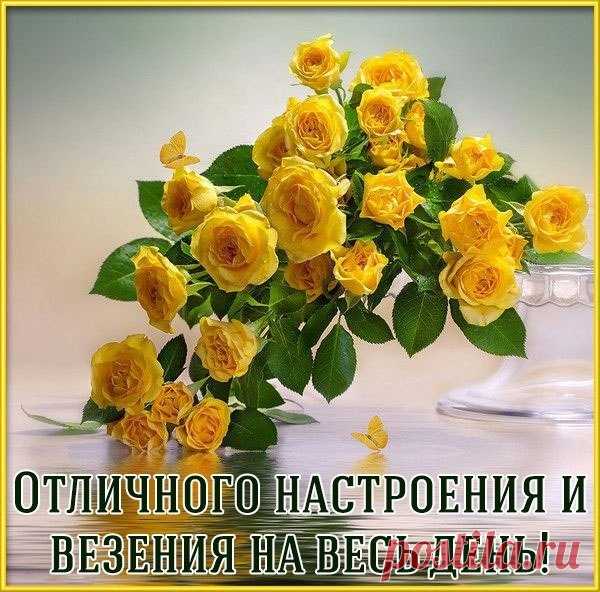 (1) Мой Мир@Mail.Ru