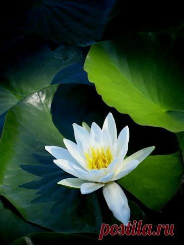 Пин на доске peinture