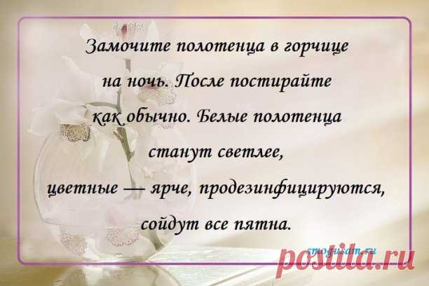 📌Лайфхак | Интересный контент в группе Дома Блеск!