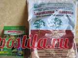 Стоит ли применять микоризу? Доброго всем времени суток...