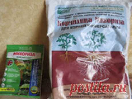 Стоит ли применять микоризу? Доброго всем времени суток...
