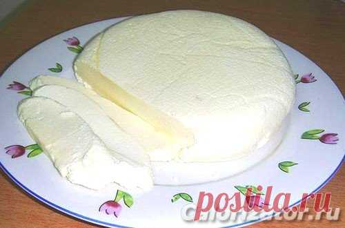 Домашний сыр брынза