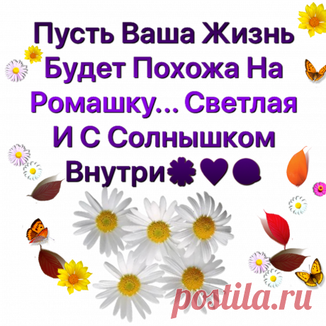 #доброеутро #пожелания