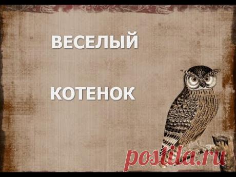 Веселый котенок. Утренняя побудка - YouTube