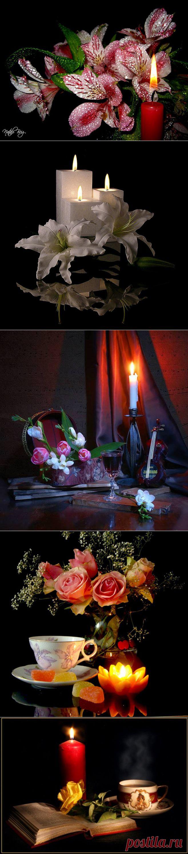 Натюрморты Просто будь светом.
