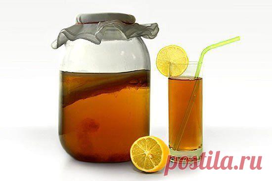 ВЫРАСТИТЬ ЧАЙНЫЙ ГРИБ В ДОМАШНИХ УСЛОВИЯХ | ХОЗЯЮШКА (форум РОМАШКА) | Группы Мой Мир