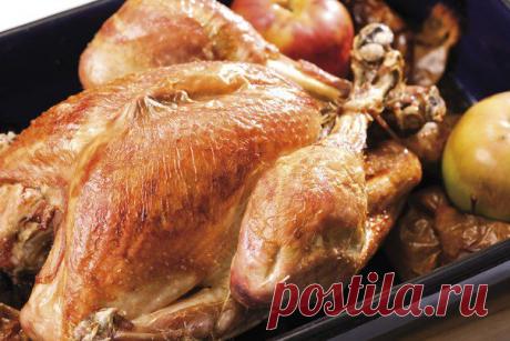 Запеченная индейка | АиФ Кухня
Индейка, запеченная в духовке, получается очень мягкой, сочной, а мясо буквально тает во рту. Ее можно готовить с яблоками, потрохами, сухофруктами, пряными травами. Некоторые хозяйки уверены, что плотно набитая индейка плохо пропекается, поэтому отправляют птицу в духовку без начинки. Мы предлагаем необычный рецепт индейки с яблоками, апельсинами, розмарином и тимьяном, которая станет настоящим украшением вашего стола. Читать далее &gt;&gt;&gt;