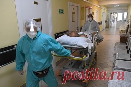 Российский врач назвала две причины более легкого течения COVID-19 у детей. Дети лучше переносят COVID-19, потому что у них снижена выработка активных веществ в иммунной системе и плотность рецепторов, к которым присоединяется вирус. Кроме того, у детей меньше хронических болезней, считает специалист. Она добавила, что у детей менее изношена сердечно-сосудистая система.