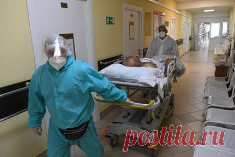 Российский врач назвала две причины более легкого течения COVID-19 у детей. Дети лучше переносят COVID-19, потому что у них снижена выработка активных веществ в иммунной системе и плотность рецепторов, к которым присоединяется вирус. Кроме того, у детей меньше хронических болезней, считает специалист. Она добавила, что у детей менее изношена сердечно-сосудистая система.