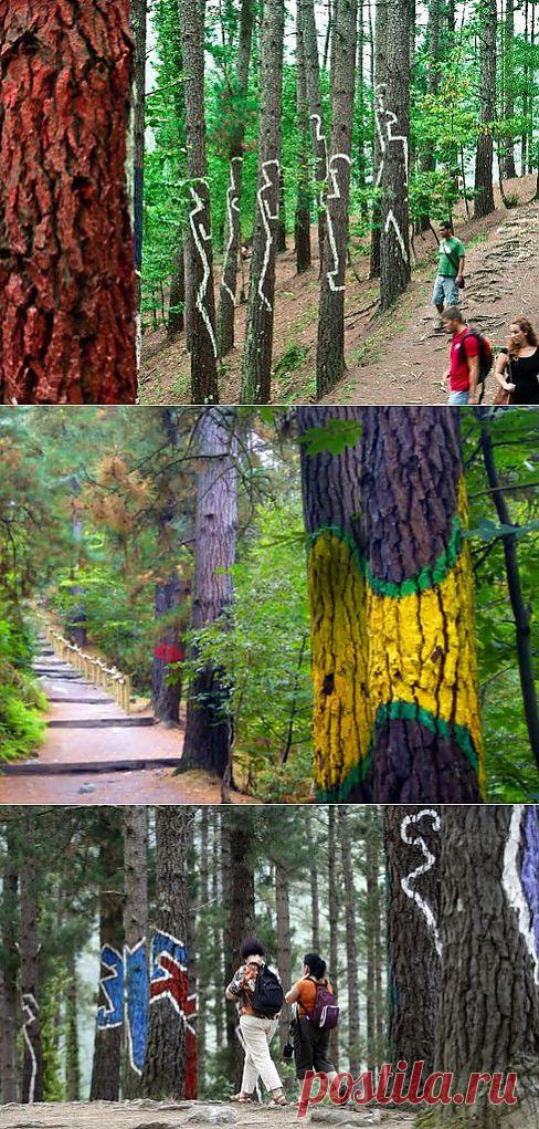 Сказочный лес Ома - Коста Бланка по-русски