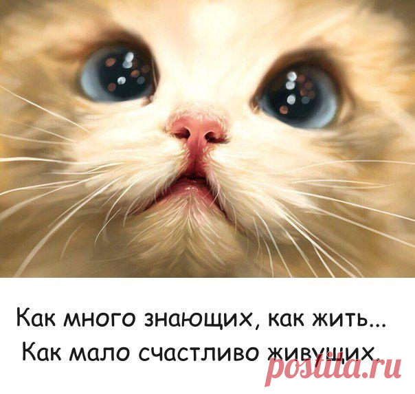 Моя Любимая Страница (18+)