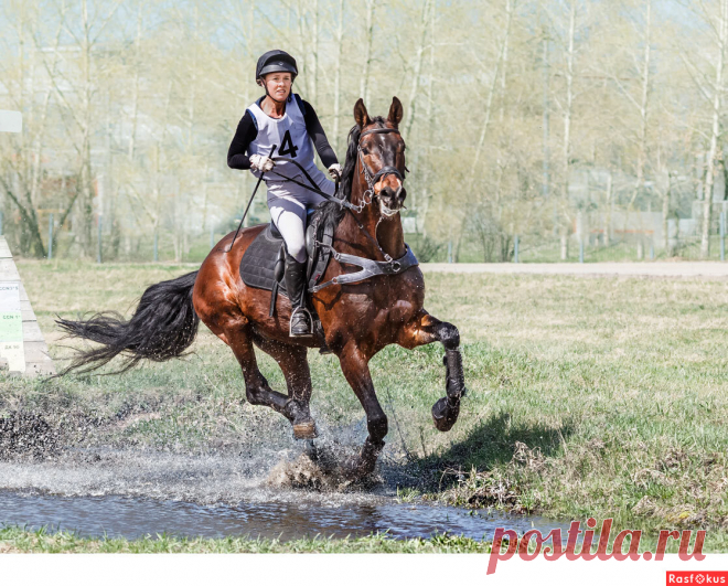 Фото: Кросс. Фотограф Сан Саныч. Спорт - Фотосайт Расфокус.ру