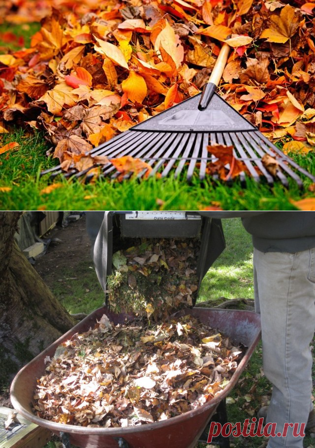 Что делать с осенней листвой в саду?