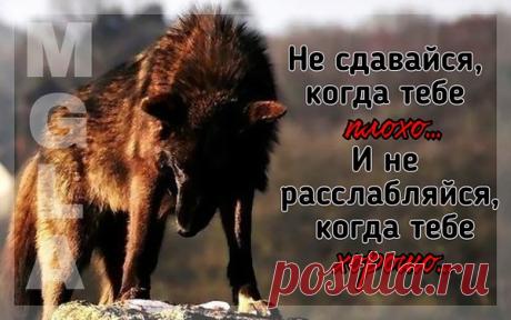 Интересные новости