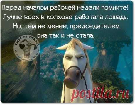 фразюлечки
