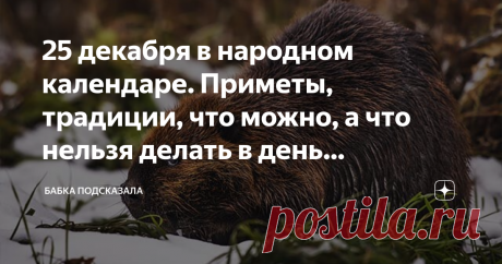 25 декабря в народном календаре. Приметы, традиции, что можно, а что нельзя делать в день Спиридона-солнцеворота Какой праздник отмечается 25 декабря в народном календаре. Спиридон-солнцеворот, Спиридонов поворот. Народные приметы 25 декабря. Что нельзя делать, а что можно 25 декабря по народным поверьям. Этот декабрьский день наши предки посвящали солнцу. С раннего утра обращались к солнышку с просьбами и пожеланиями, а также читали различные заговоры. Обязательно в прору...