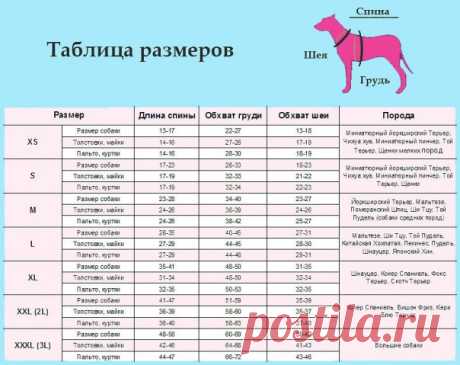выкройка футболки с цельнокроеным рукавом для собаки - Поиск в Google