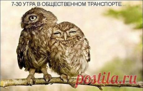 Доброе утро и бодрого дня!!!