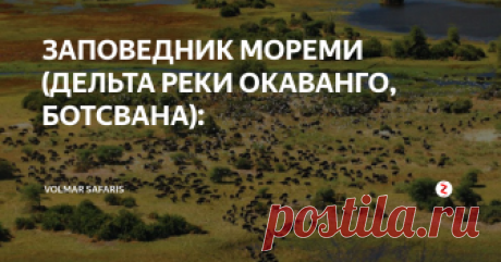 ЗАПОВЕДНИК МОРЕМИ (ДЕЛЬТА РЕКИ ОКАВАНГО, БОТСВАНА): Заповедник Мореми (Дельта реки Окаванго). Национальный парк Мореми в настоящее время занимает около 20% площади дельты Окаванго, что составляет 15 000 кв. км нетронутой африканской природы. Сафари здесь проводится, как правило, по воде - на моторных лодках или местных каноэ. Тут можно увидеть слонов (особенно в «сухой» период), буйволов, жирафов, львов, леопардов, гепардов, гиен и шакалов. А также