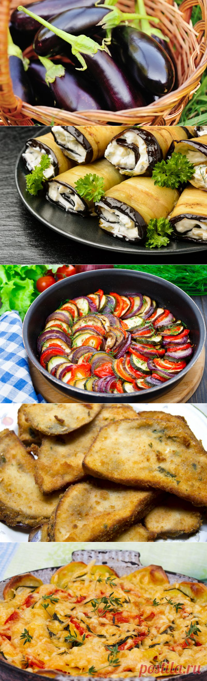 7 "быстрых" блюд, которые можно приготовить из баклажанов | Дачная кухня (Огород.ru)