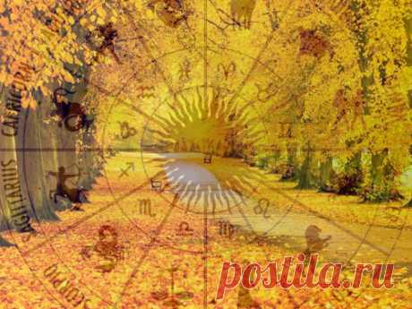 АСТОПРОГНОЗ на НОЯБРЬ 2025 года Наш астропрогноз поможет вам выйти за пределы своих возможностей и стать успешнее в любви, в делах, в работе и в финансовой сфере. Последний месяц осени будет полон неприятностей и трудностей, но у вас все равно есть шансы сделать свою жизнь лучше.