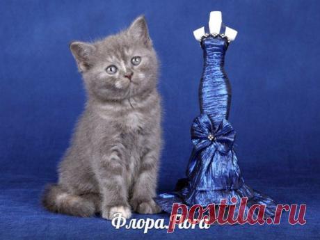 Лариса Исаева