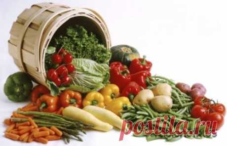 Продукты и части тела