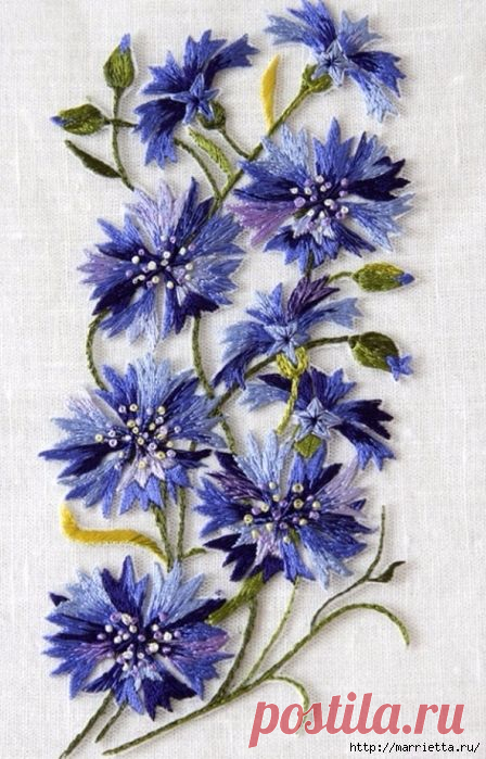 (2) Pinterest