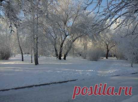 ФОТОМАСТЕРСКАЯ ПРИРОДЫ
Наталья Неупокоева (Соловьева)