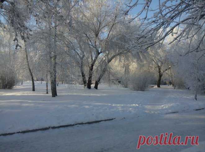 ФОТОМАСТЕРСКАЯ ПРИРОДЫ
Наталья Неупокоева (Соловьева)
