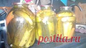 Рецепт самых вкусных (для меня) огурцов : talanta27