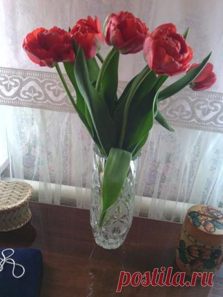 Одноклассники