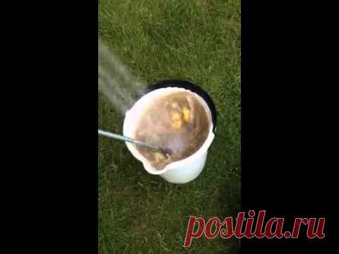 Как почистить 1 килограмм картофеля за 1 минуту | Четыре вкуса