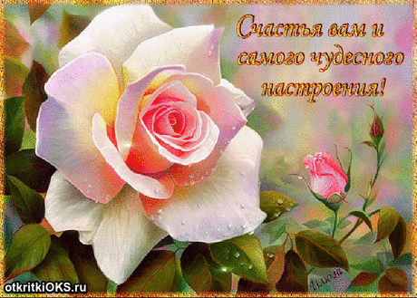 Косы ёлочкой плетём как Iris von Arnim. Свитер спицами