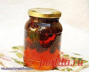 Лечебный сироп из еловых шишек