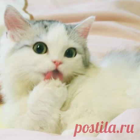 Интересные новости