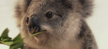 Yalcin Biricik – Google+