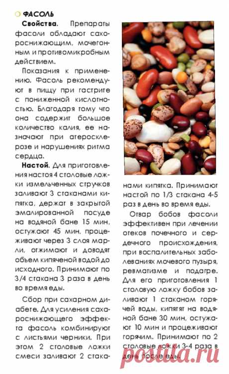 Фасоль - лечебные свойства