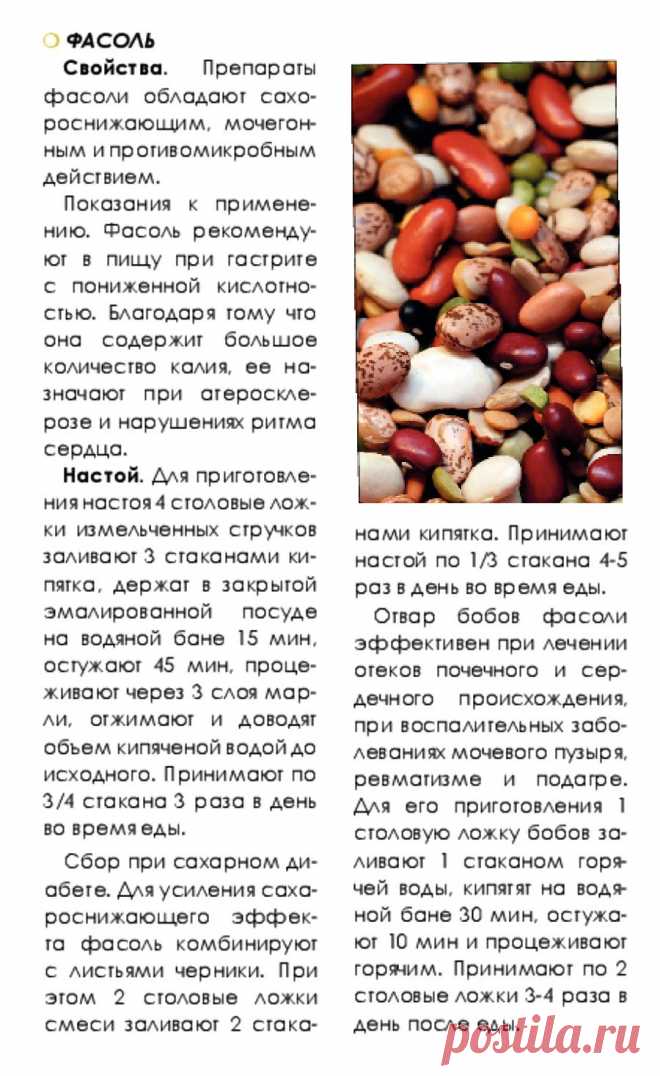 Фасоль - лечебные свойства
