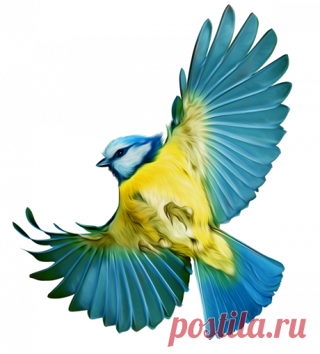 Дневник abcd21(Oksana)