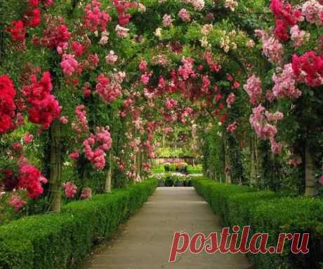 Я люблю ✿ ЦВЕТЫ ✿ | I ♥ Flowers