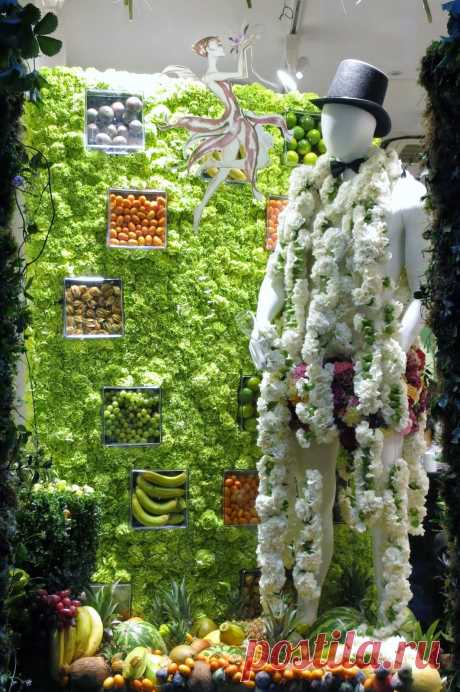 www.retailstorewindows.com: Moyses Стивенс, Лондон
